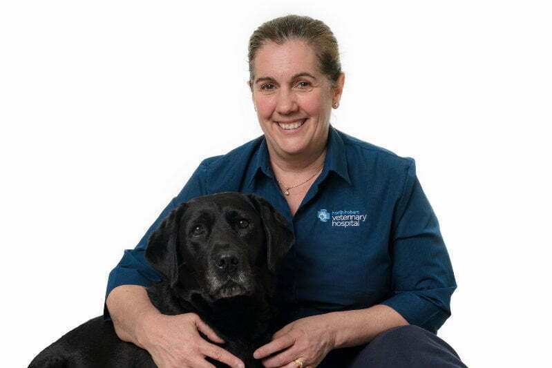 Meet Our Team - North Hobart Veterinary Hospital