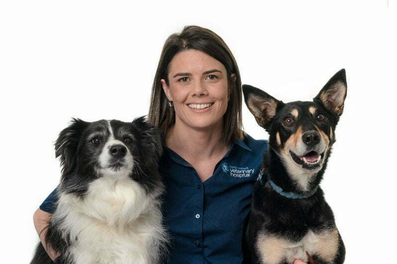 Meet Our Team - North Hobart Veterinary Hospital